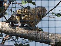 Zu Gast im Tierpark Dessau Bild: Zu Gast im Tierpark Dessau