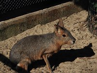 Zu Gast im Tierpark Dessau Bild: Zu Gast im Tierpark Dessau