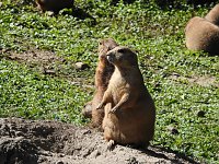 Zu Gast im Tierpark Dessau Bild: Zu Gast im Tierpark Dessau