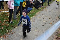 24. Stadtparklauf in Sondershausen (1) Bild: 24. Stadtparklauf in Sondershausen (1)
