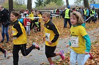24. Stadtparklauf in Sondershausen (1) Bild: 24. Stadtparklauf in Sondershausen (1)
