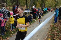 24. Stadtparklauf in Sondershausen (1) Bild: 24. Stadtparklauf in Sondershausen (1)