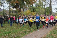 24. Stadtparklauf in Sondershausen (1) Bild: 24. Stadtparklauf in Sondershausen (1)
