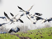 Bild: Anpirschen