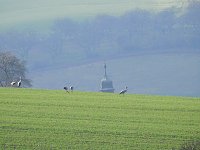 Bild: Anpirschen