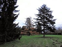 Abstecher in den Wörlitzer Park Bild: Abstecher in den Wörlitzer Park