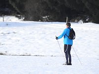 Der Harz taut... Bild: Der Harz taut...