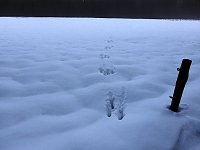 Der Harz taut... Bild: Der Harz taut...