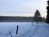 Der Harz taut... Bild: Der Harz taut...