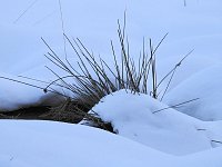 Der Harz taut... Bild: Der Harz taut...