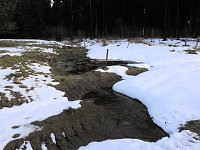 Der Harz taut... Bild: Der Harz taut...