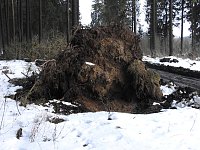 Der Harz taut... Bild: Der Harz taut...