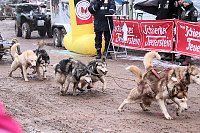Schlittenhunderennen in Pullmann City II Bild: Schlittenhunderennen in Pullmann City II