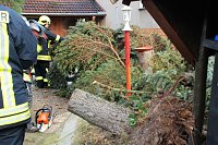 Gefallen und zerkleinert Bild: Gefallen und zerkleinert