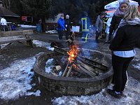 Bild: Schlittenhunde rennen rund um Benneckenstein