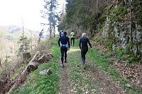 Bild: Einfach mal &uuml;ber den Harz