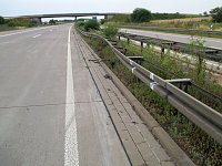 Bild: Kein Bett im Kornfeld