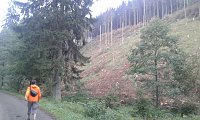 Bild: Zum zehnten Mal &uuml;ber den ganzen Harz