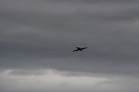 Bild: Flugtage bei Hain