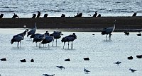 Bild: Abendstimmung am Stausee Kelbra
