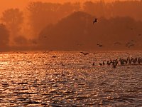 Bild: Abendstimmung am Stausee Kelbra