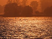 Bild: Abendstimmung am Stausee Kelbra