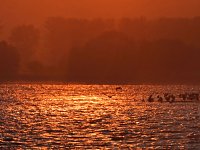 Bild: Abendstimmung am Stausee Kelbra