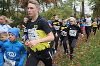 Bild: 26. Stadtparklauf Sondershausen und...