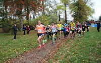 Bild: 26. Stadtparklauf Sondershausen und...