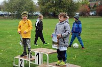 Bild: 26. Stadtparklauf Sondershausen und...
