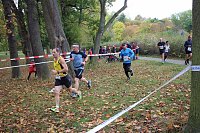 Bild: 26. Stadtparklauf Sondershausen und...