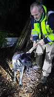 Ausgebüchster Hund beschäftigte gestern 25 Rettungskräfte Bild: Ausgebüchster Hund beschäftigte gestern 25 Rettungskräfte