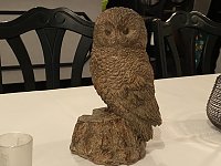 Der Uhu gilt den Schlaraffen als weises Wappentier, nicht als Klebstoff Bild: Der Uhu gilt den Schlaraffen als weises Wappentier, nicht als Klebstoff