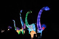 Peter Blei in den magischen Lichterwelten Bild: Peter Blei in den magischen Lichterwelten