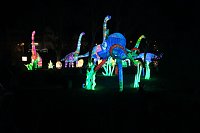 Peter Blei in den magischen Lichterwelten Bild: Peter Blei in den magischen Lichterwelten