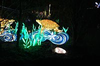 Peter Blei in den magischen Lichterwelten Bild: Peter Blei in den magischen Lichterwelten