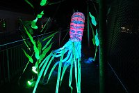 Peter Blei in den magischen Lichterwelten Bild: Peter Blei in den magischen Lichterwelten