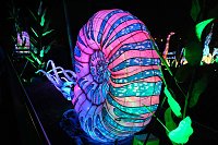 Peter Blei in den magischen Lichterwelten Bild: Peter Blei in den magischen Lichterwelten