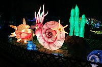 Peter Blei in den magischen Lichterwelten Bild: Peter Blei in den magischen Lichterwelten