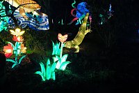Peter Blei in den magischen Lichterwelten Bild: Peter Blei in den magischen Lichterwelten