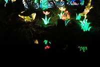 Peter Blei in den magischen Lichterwelten Bild: Peter Blei in den magischen Lichterwelten