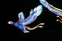Peter Blei in den magischen Lichterwelten Bild: Peter Blei in den magischen Lichterwelten