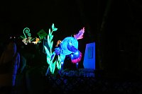 Peter Blei in den magischen Lichterwelten Bild: Peter Blei in den magischen Lichterwelten