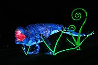 Peter Blei in den magischen Lichterwelten Bild: Peter Blei in den magischen Lichterwelten