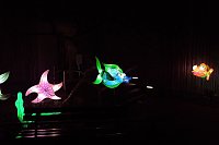 Peter Blei in den magischen Lichterwelten Bild: Peter Blei in den magischen Lichterwelten