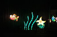 Peter Blei in den magischen Lichterwelten Bild: Peter Blei in den magischen Lichterwelten