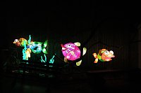 Peter Blei in den magischen Lichterwelten Bild: Peter Blei in den magischen Lichterwelten