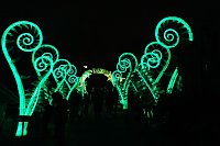 Peter Blei in den magischen Lichterwelten Bild: Peter Blei in den magischen Lichterwelten