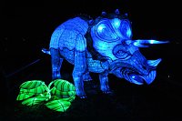 Peter Blei in den magischen Lichterwelten Bild: Peter Blei in den magischen Lichterwelten