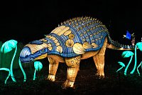 Peter Blei in den magischen Lichterwelten Bild: Peter Blei in den magischen Lichterwelten